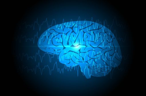 Les crises épileptiques focales sont localisées dans une seule région du cerveau.