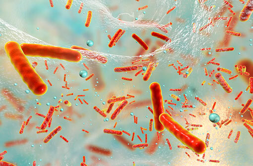 Représentation en 3D de Mycobacterium tuberculosis (bacille de Koch), la bactérie responsable de la tuberculose (illustration).