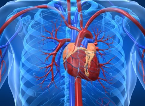 La fibrillation auriculaire favorise la stase sanguine intracardiaque et donc le risque de thrombus et d'embol artériel.