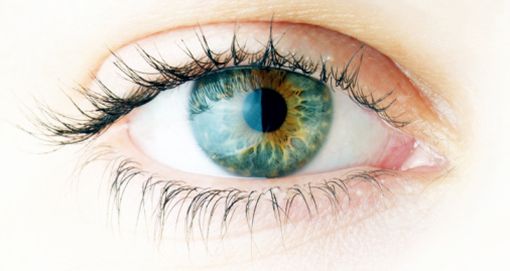 L'uvéite postérieure est une inflammation de la partie arrière de l'œil, dont la choroïde et la rétine