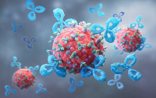 Un vaccin personnalisé provoque une réponse immunitaire contre les cellules tumorales résiduelles.