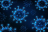 Les virus de la grippe sont des virus à ARN constitués d'une enveloppe lipidique hérissée de spicules formées par les glycoprotéines de surface (illustration).