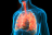 L’asthme est une maladie évolutive pouvant exposer à des évènements cliniques graves (exacerbations) s’il n’est pas contrôlé (illustration).