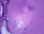 Glande thyroïde (microscopie)