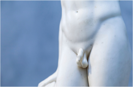 L'hypogonadisme est un défaut de l'appareil reproducteur résultant en une perte de fonction des testicules ou des ovaires (illustration).