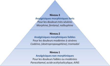 Analgésiques : les paliers de l'OMS
