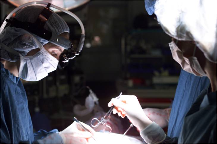 SIMULECT est strictement indiqué dans la prévention du rejet aigu après transplantation rénale allogénique de novo.