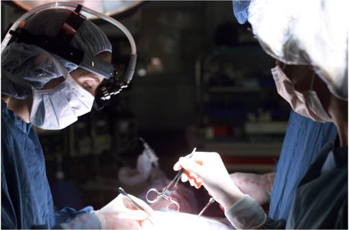 Les allogreffes s'accompagnent d'un traitement immunosuppresseur visant à prévenir une des complications majeures de la greffe: