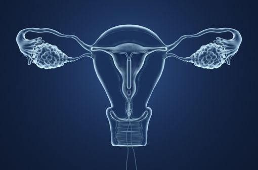L’accès à une contraception adaptée pour toutes les femmes qui décident d’y avoir recours est un objectif de santé publique (illustration).