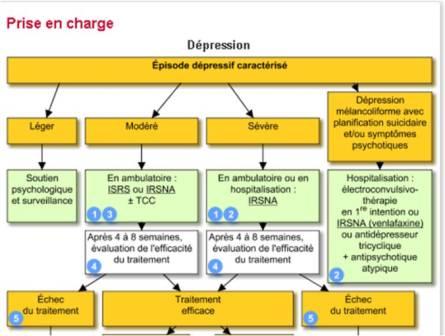 Vidal Reco "Dépression" : extrait de l'arbre décisionnel.
