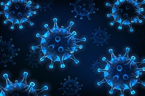 Les virus de la grippe sont des virus à ARN constitués d'une enveloppe lipidique hérissée de spicules formées par les glycoprotéines de surface (illustration).