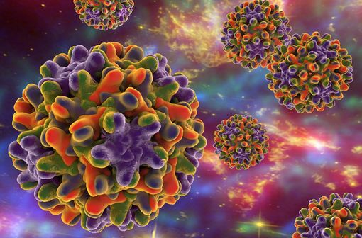 Représentation en 3D de virus de l'hépatite B (illustration).