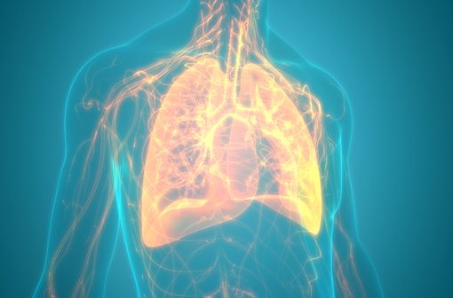 IMFINZI est indiqué dans la prise en charge de certains cancers bronchiques (illustration).
