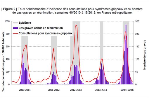 L'épidémie grippale de l'hiver dernier s'est caractérisée par un nombre plus important de cas graves (© InVS, mai 2015)
