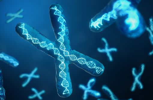 La mucoviscidose est une maladie génétique liée à des mutations du gène CFTR sur le chromosome 7, entraînant une altération de la protéine CFTR (illustration).