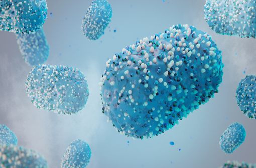 Représentation en 3D de virus Monkeypox (illustration).