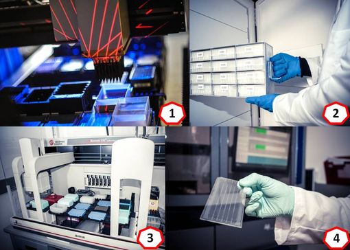 MetaGenoPolis (photos © INRA) : (1) Robot de triage des clones dans MetaFun (2) Conservation des échantillons dans SAMBO (3) Automate de séquençage de MetaQuant (4) Un milliard de séquences sur une petite plaque…