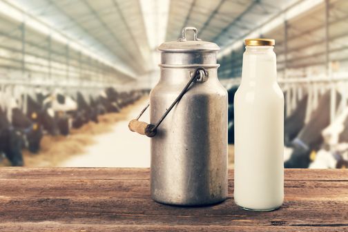 Le traitement de l’allergie aux protéines de lait de vache implique l’éviction totale du lait de vache et de tous les produits pouvant en contenir (illustration).