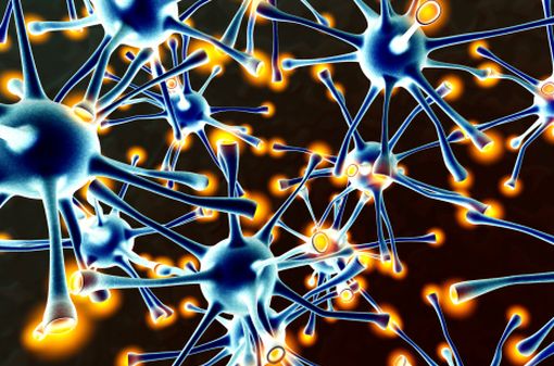 Réseau neuronal (illustration)