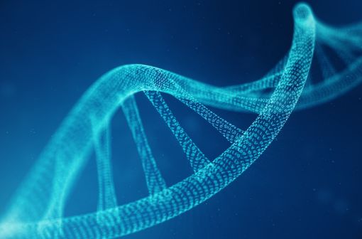 La mutation F508del du gène CFTR expose à une forme relativement sévère de mucoviscidose (illlustration).