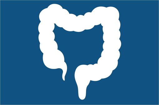 Les préparations coliques sont indiquées pour le lavage colique, en préparation des examens d'exploration (endoscopie, radiologie) ou d'une chirurgie colique chez l'adulte (illustration).