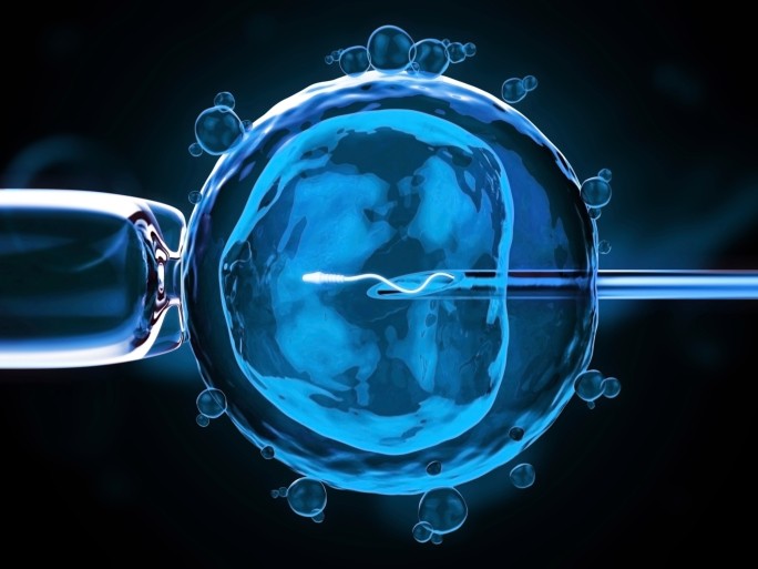 L’assistance médicale à la procréation (AMP) consiste à manipuler un ovule et/ou un spermatozoïde pour procéder à une fécondation (illustration).