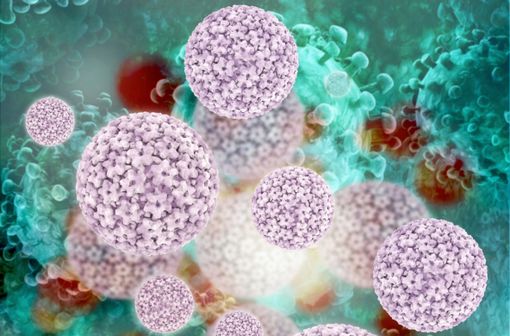 Modélisation 3D de papillomavirus (image d'illustration).