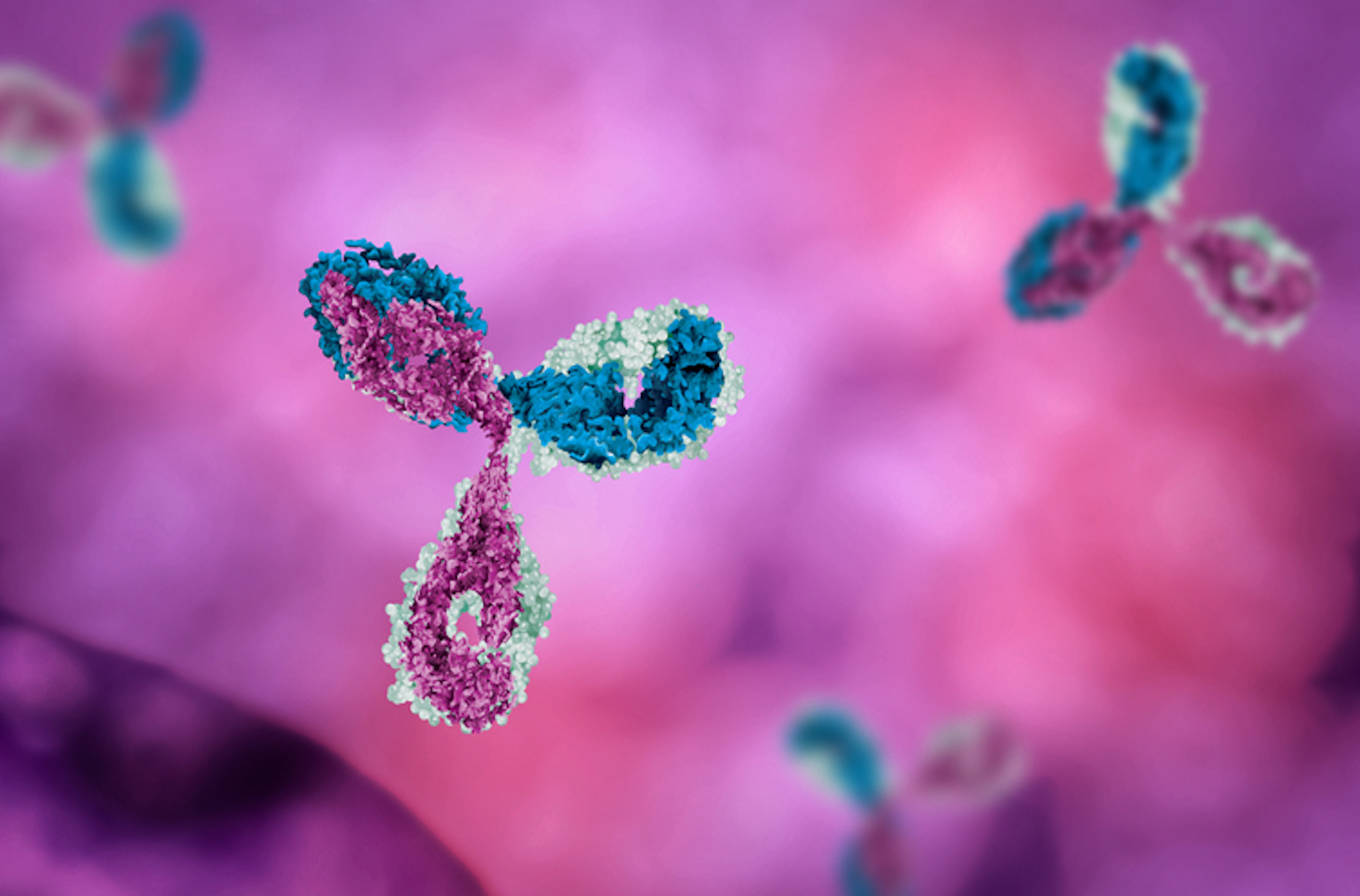 L'infliximab est un anticorps monoclonal chimérique humain/souris qui inhibe la bioactivité du TNF-alpha et déclenche une réaction cytotoxique vis-à-vis des cellules exprimant le TNF-alpha membranaire (illustration).