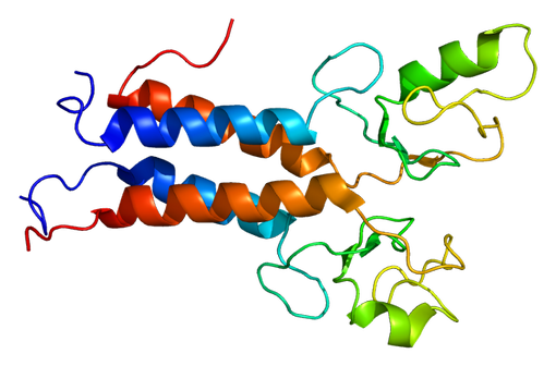 Représentation en 3D d'une protéine BRCA1, directement impliquée dans la réparation de l'ADN endommagé (illustration @Emw sur wikimedia).
