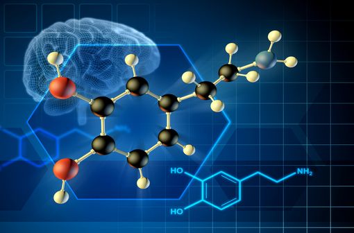 La maladie de Parkinson est une maladie dont la cause est la dégénérescence du groupe de neurones produisant la dopamine dans la substance noire (illustration).
