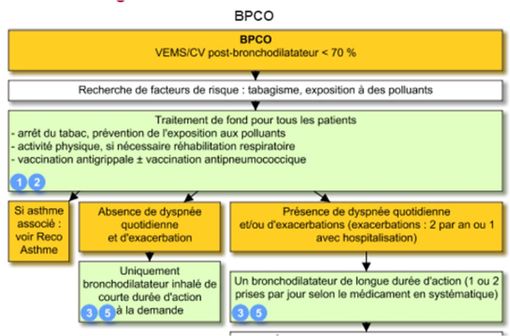 Extrait de l'arbre décisionnel VIDAL Reco "BPCO" (illustration).