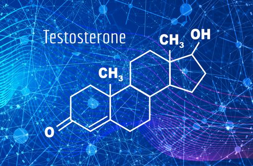 Les symptômes du déficit en testostérone sont variés et peu spécifiques, principalement à type de fatigue, d’une baisse de la libido, de troubles du sommeil, de changements d’humeur, etc. (illustration).