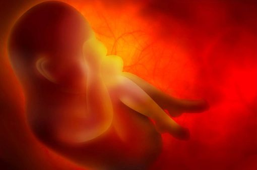 L'exposition des foetus au valproate de sodium pendant otut ou partie de la grossesse est associée à une augmentation du risque de malformations et de troubles du développement (illustration).
