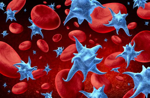 XAGRID est indiqué en deuxième intention dans la réduction du nombre élevé de plaquettes chez les patients à risque atteints de thrombocytémie essentielle (illustration).