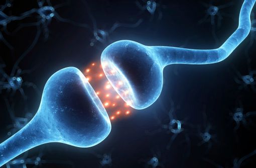 NORADRENALINE RENAUDIN Mise Disposition De Deux Nouvelles 